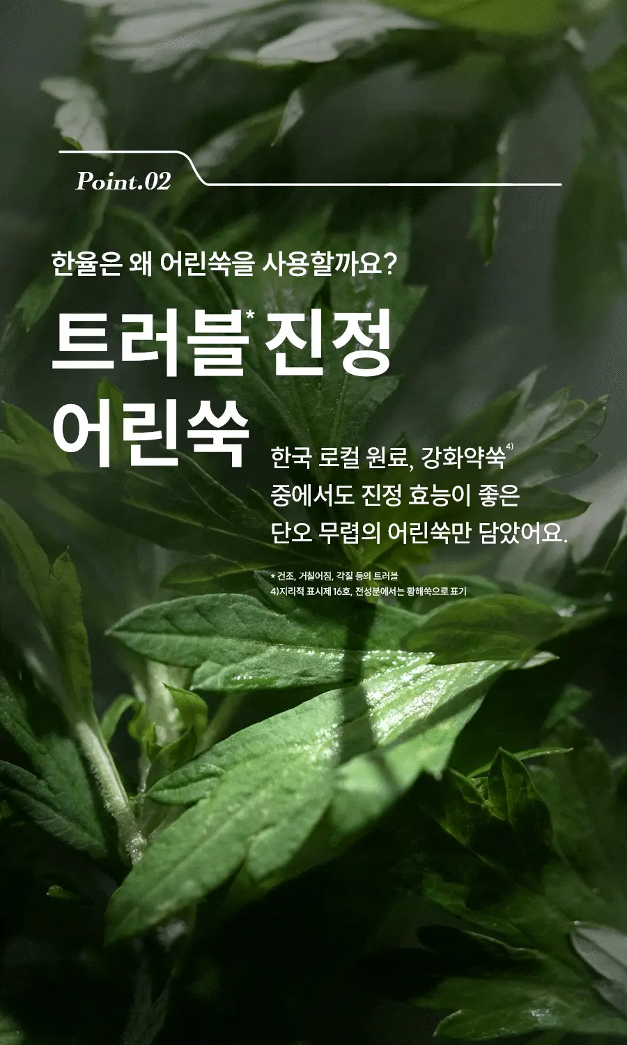 [수부지/안개분사] 한율 어린쑥 트러블 진정 미스트 120ml 리필 기획 (+어린쑥 미스트 120ml 리필) 상세페이지 30